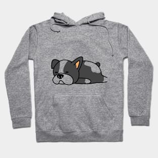 LAZY DOG Hoodie